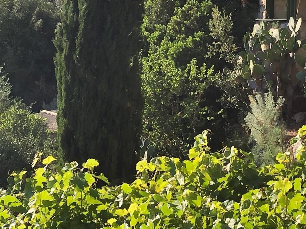 Vistalago Garden Monteleone Rocca Doria Exterior foto