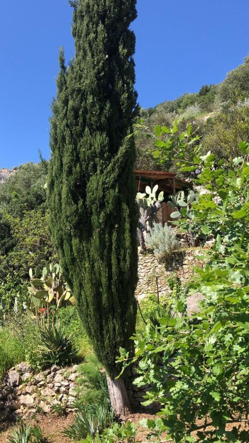 Vistalago Garden Monteleone Rocca Doria Exterior foto